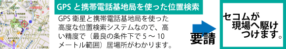 表示画像
